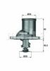 OPEL 1338059 Thermostat, coolant